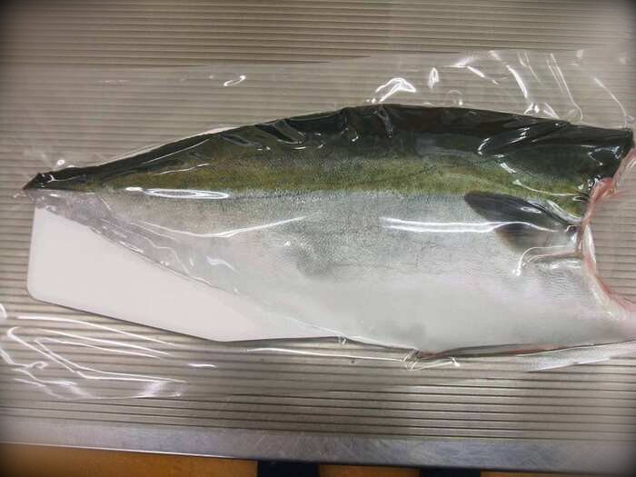 Frozen hamachi (yellowtail)