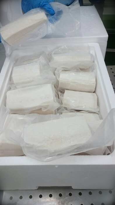 Frozen escolar saku
