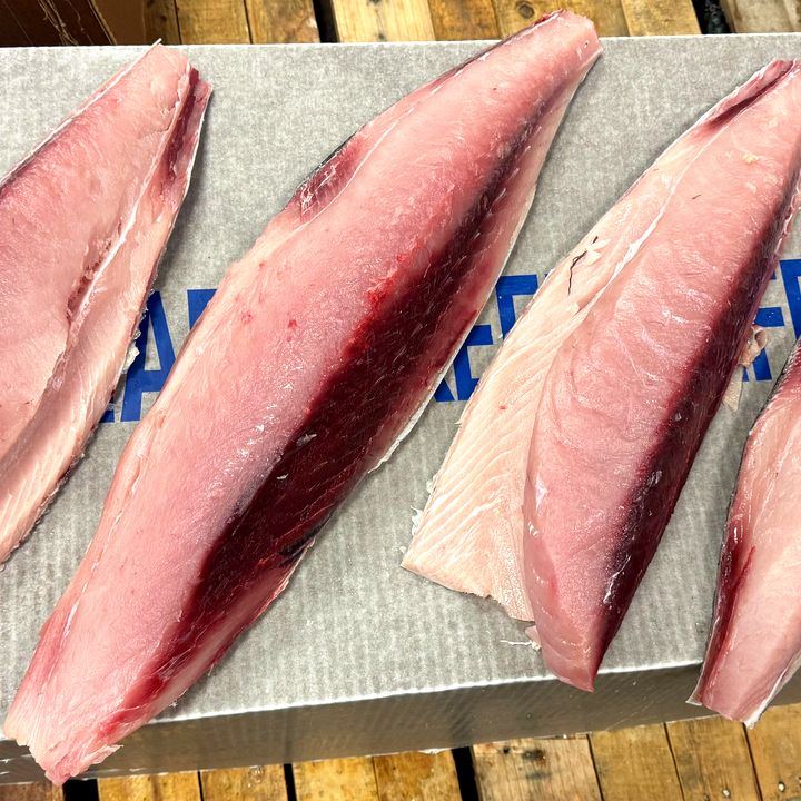 Fresh albacore tuna loins