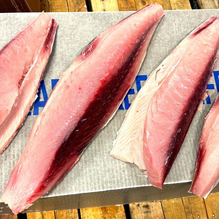 Fresh albacore tuna loins