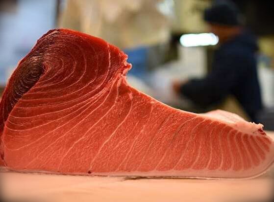 Fresh sushi-grade bluefin tuna